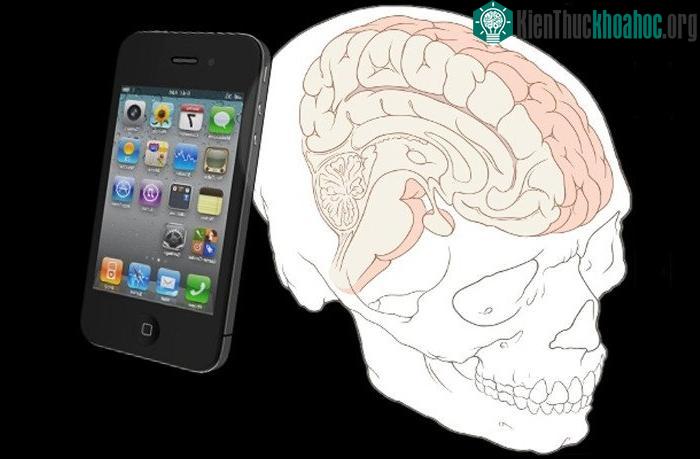Phải chăng não bộ đã đánh lừa chúng ta?