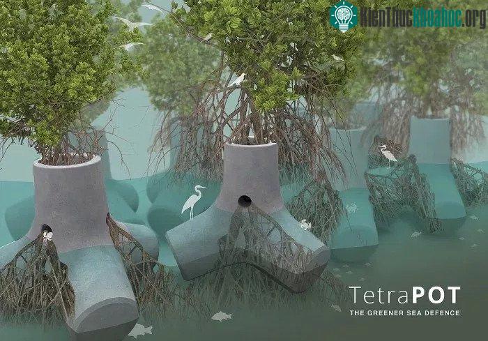 TetraPOT.