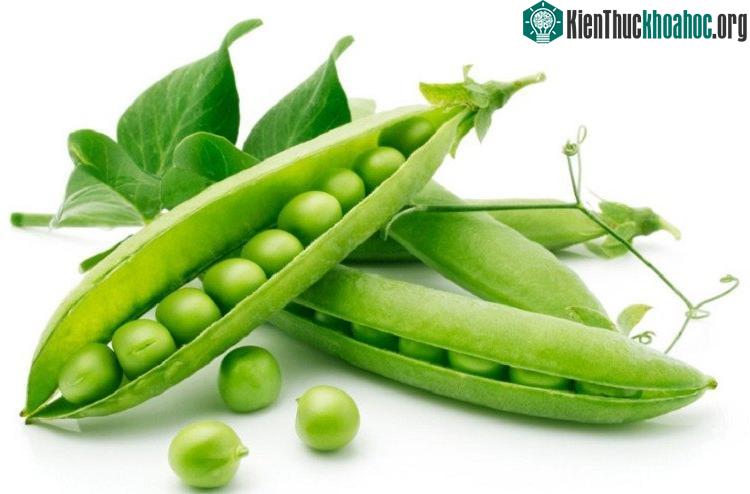 Đậu nành nằm trong các loại thực phẩm biến đổi gene thường được nhập khẩu – (nguồn: internet).