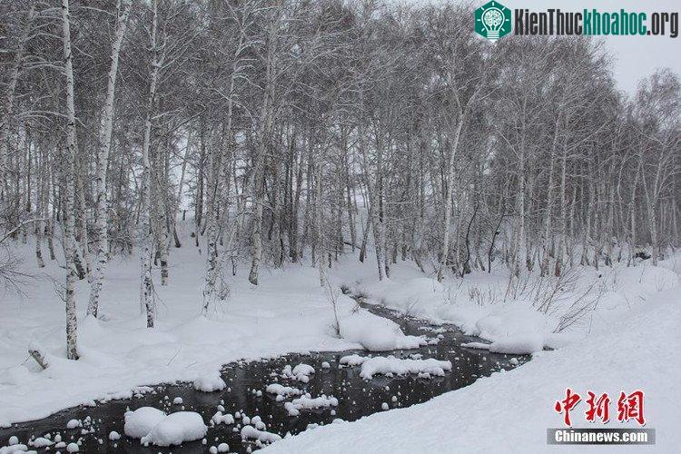 Dòng suối lạ ở Trung Quốc: Nhiệt độ -43,5 độ C, nước vẫn không bị đóng băng ảnh 2