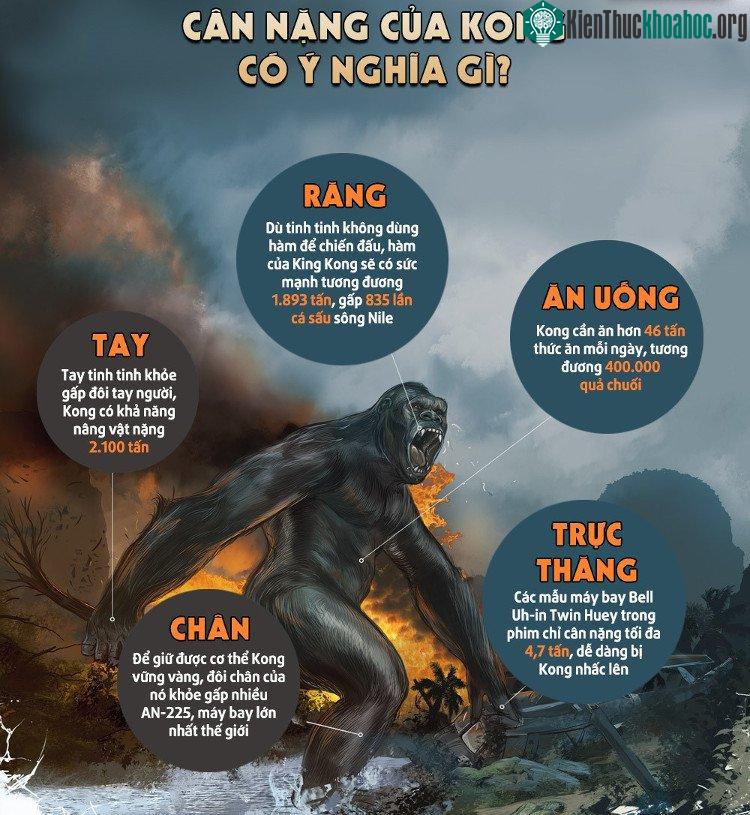 Với kích cỡ khổng lồ như vậy, Kong cần ăn tới 46 tấn thức ăn mỗi ngày.