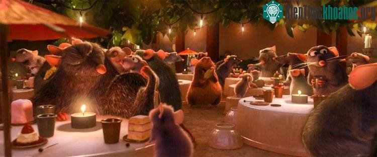 Hãy đặt mình vào vị trí chủ nhà hàng, làm cách nào để khách ăn sắp xong hoặc xong rồi "về bớt" để cho những thực khách khác có chỗ ngồi mà không ai cảm thấy bị xúc phạm? Xem thêm tại đây