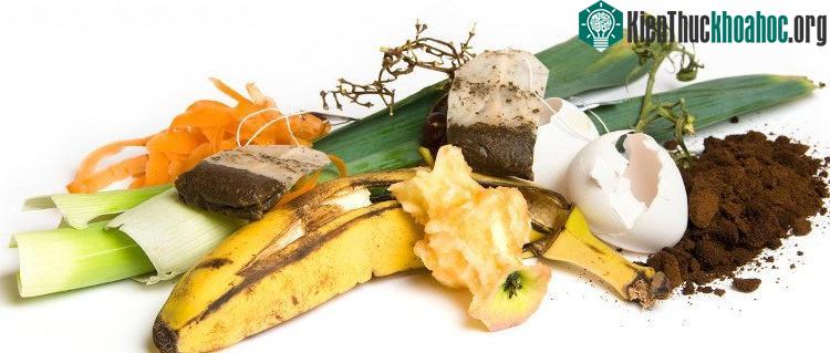 Chất thải thực phẩm là nguồn nguyên liệu đầu vào rất tốt cho việc sản xuất năng lượng tái tạo.