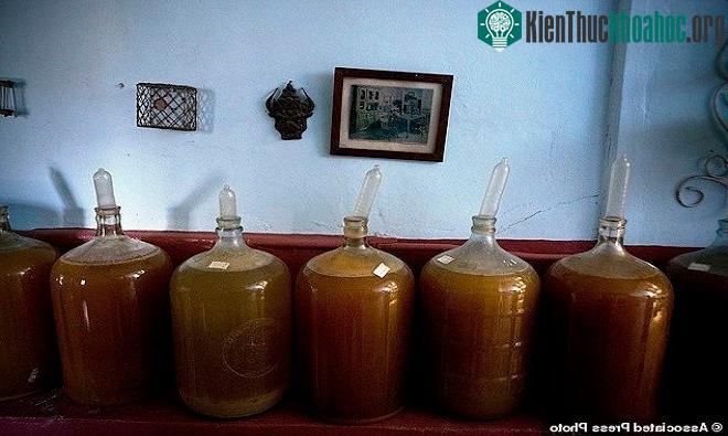 Estevez kinh doanh rượu từ năm 2000 sau khi chính phủ Cuba cho phép các cơ sở tư nhân kinh doanh