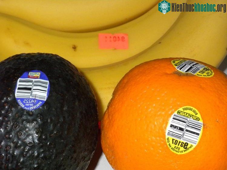 Nhận biết thực phẩm biến đổi gene GMO thông qua mã code – (nguồn: internet).