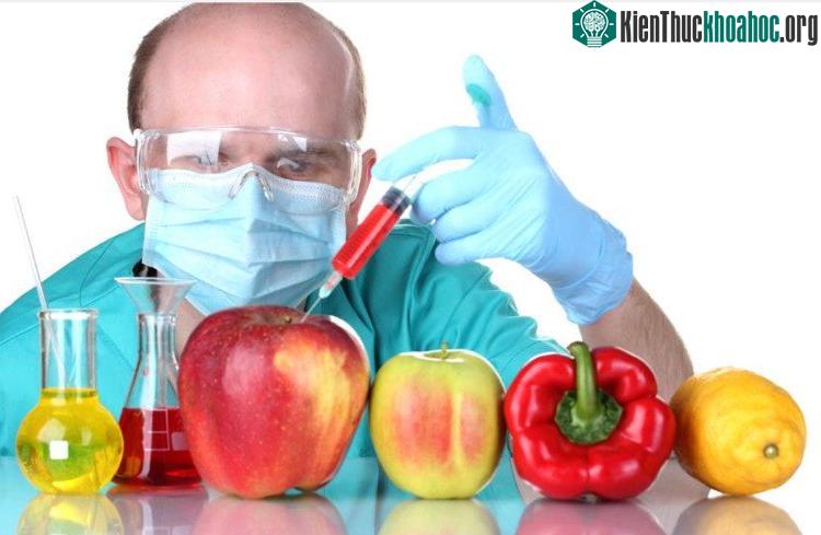 GMO đã gây ra thảm họa trong thế giới thực vật làm biến dạng DNA lan tràn qua phấn hoa nhiều cây cỏ trên thế giới. (Ảnh: sustainablepulse.com).