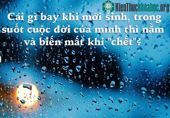 6 câu đố dành cho con nít nhưng không ít người lớn phải "giơ tay xin hàng" ảnh 4