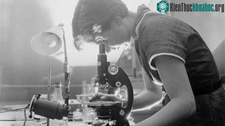 Bà Rosalind Elsie Franklin.