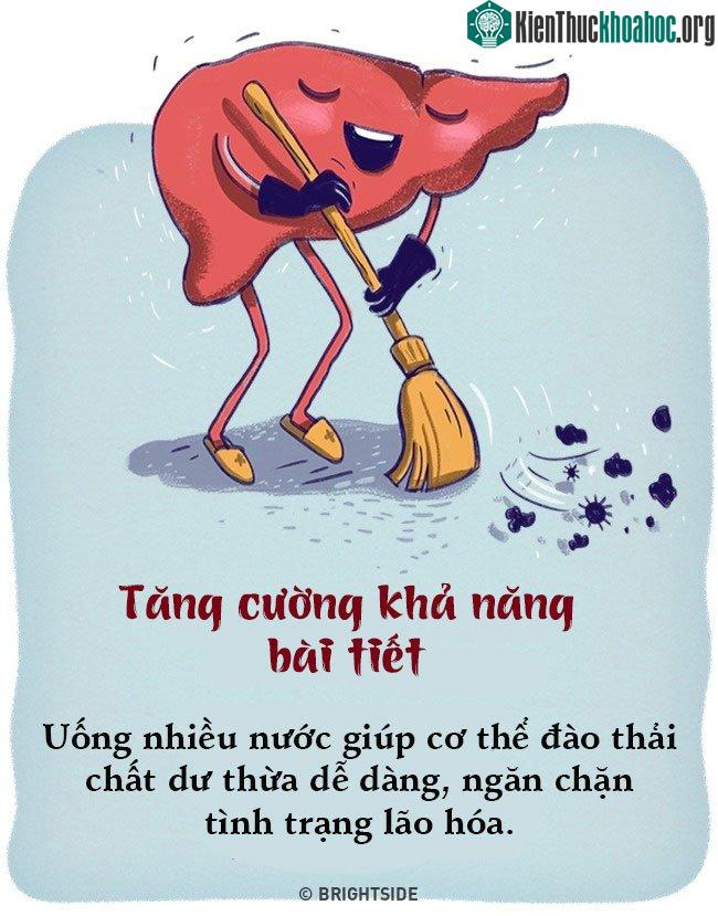Điều gì xảy ra nếu bạn uống nước lọc thay nước ngọt trong suốt 1 tháng? ảnh 5