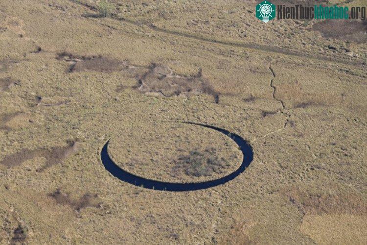 Tại khu vực đầm lầy Parana Delta, thuộc vùng biên giới phía Đông Bắc của Argentina có một hòn đảo kỳ bí được mệnh danh là đảo Con mắt - The Eye. Hòn đảo không chỉ gây ấn tượng b...