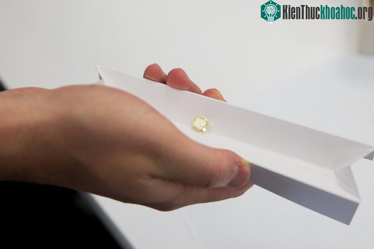 Sau đó, chúng được cắt tỉa trước khi tạo hình.