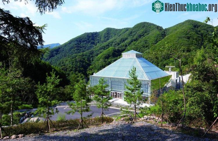 Công trình có tên Light of Life Church (Nhà thờ ánh sáng) ở Seoul, Hàn Quốc.