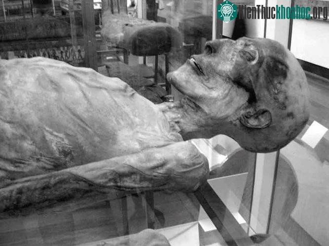 Nhiều xác ướp của các pharaoh hay những người thuộc tầng lớp giàu có được chôn cất cùng một số người hầu để họ sang thế giới bên kia tiếp tục công việc hầu hạ chủ nhân.