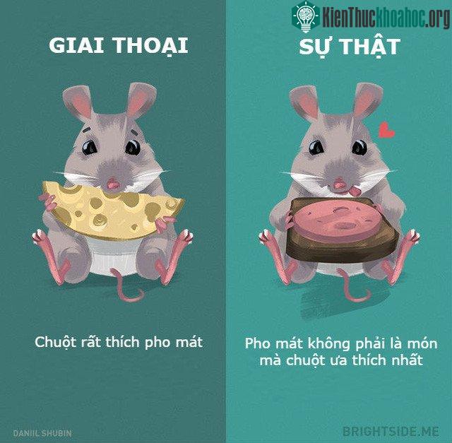 Chuột yêu gạo có lẽ chuẩn hơn nhỉ?