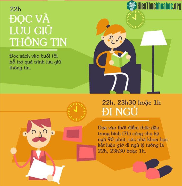 Các nhà khoa học kết luận giờ đi ngủ lý tưởng là: 22h, 23h30 hoặc 1h.