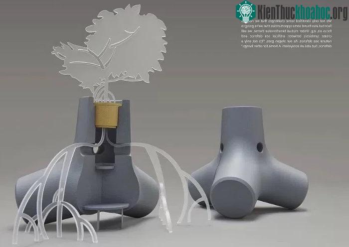 TetraPot không bị chuyển vị theo thời gian, từ đó thiết lập 1 hệ sinh thái bền chắc.