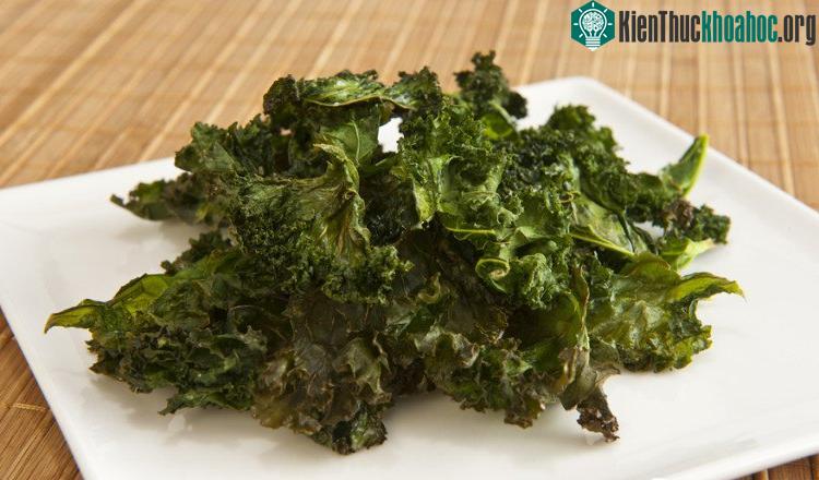 Khổ qua, nghệ, cải xoăn là những loại thực phẩm có vị đắng nhưng lại rất tốt cho sức khỏe. Xem thêm tại đây.
