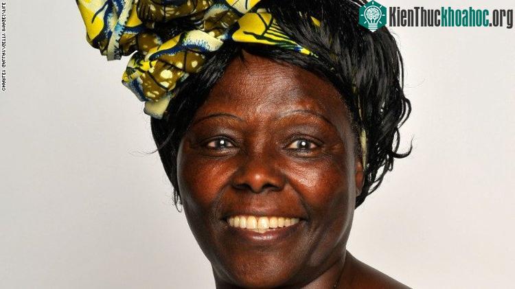 Bà Wangari Maathai.