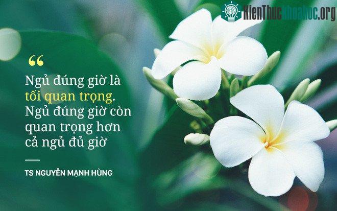 Ngủ đúng giờ là tối quan trọng.