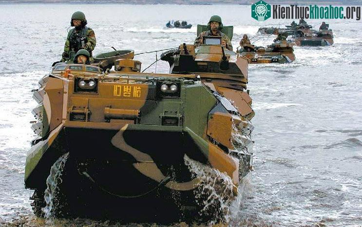 Các xe KAAV có khối lượng từ 21-24 tấn (không tải), tốc độ tối đa trên mặt đất - 72km/h, dưới nước - 13km/h.