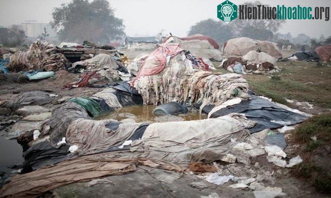 Từng chồng đồ giặt từ các khách sạn nằm giữa bùn lầy ven sông Yamuna.