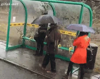 Trung Quân đang ở đâu thì đến mà lấy mấy cơn mưa của ông về đi này.