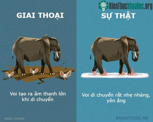 Hình dáng khổng lồ nhưng không hề vô duyên đâu nhé.