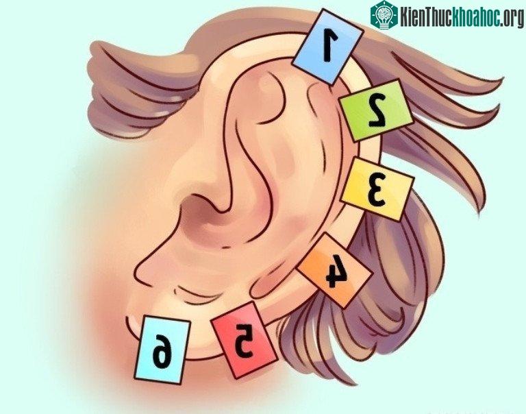 Sự thật thú vị về đôi tai hầu hết mọi người không biết ảnh 8