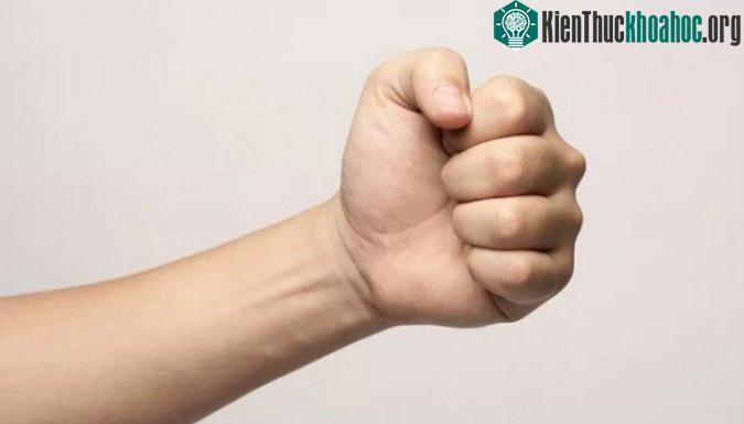 Chỉ cần nắm chặt tay trong 30 giây, bạn đã có thể biết tình trạng sức khỏe hiện tại của mình mà không cần phải đến bệnh viện kiểm tra! Hãy thử thực hiện những thử nghiệm dưới đây. Xem thêm tại đây.