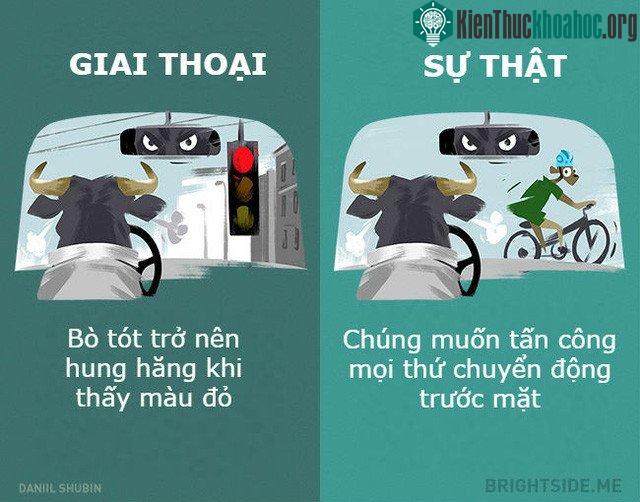Anh đâu có ghét màu đỏ như thiên hạ đồn đại.
