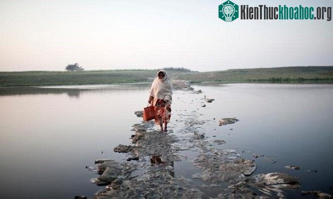 Một người phụ nữ đi ngang qua con kênh nhỏ trên sông Hằng trên cây cầu rác ngập dưới nước.
