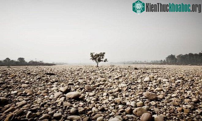 Một phụ lưu của sông Hằng gần Haridwar cạn trơ đáy vào mùa nóng.