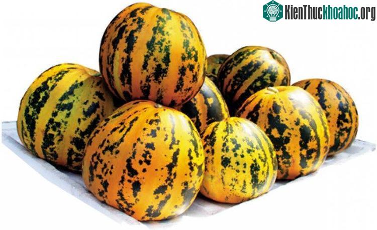 Dưa bở có nhiều tác dụng tuyệt vời cho sức khỏe.