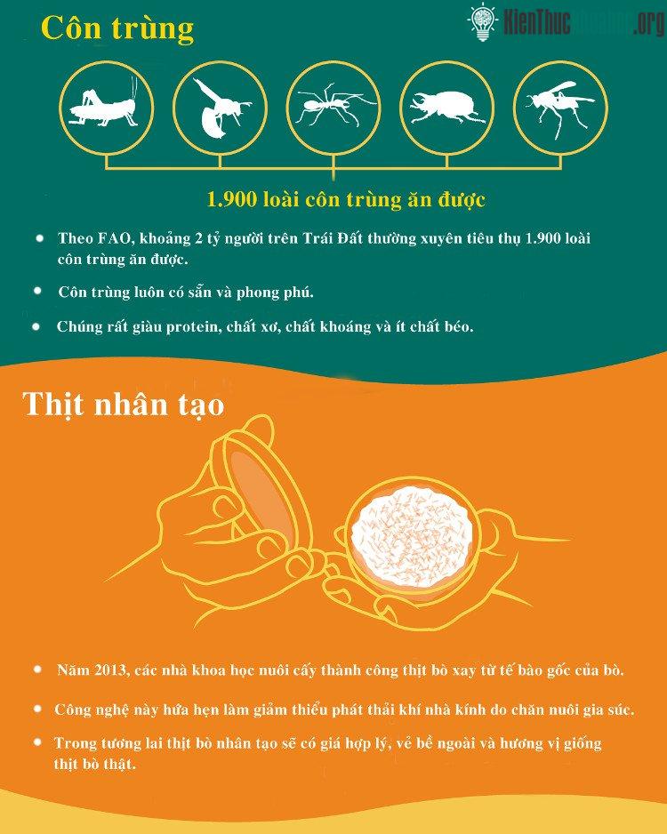 Côn trùng đang là sự lựa chọn hàng đầu cho nguồn thực phẩm thay thế trong tương lai.
