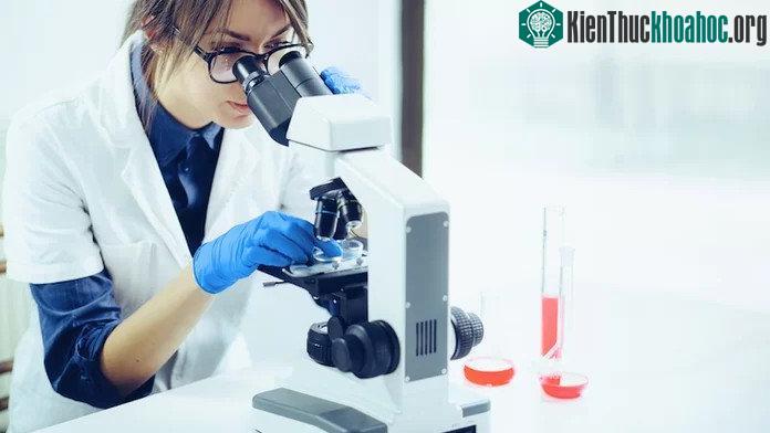 Vẻ ngoài của các nhà khoa học có ảnh hưởng tới cách nghiên cứu của họ được nhìn nhận. (Ảnh minh họa: Reuters).