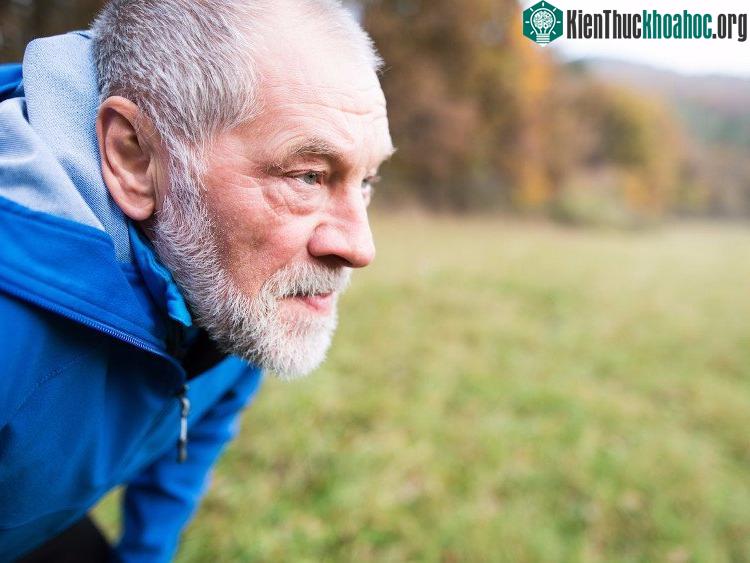 IQ và kinh tế liên quan tới nhau. (Ảnh: Shutterstock).