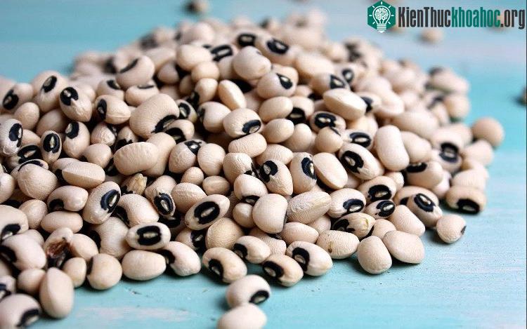 Đậu mắt cua là thức ăn mà người Peru cổ đã sử dụng từ cách đây 15.000 năm.
