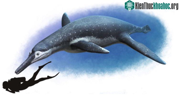 Đồ họa giống pliosaur to như xe bus sống từ thời khủng long. (Ảnh: International Business Times).