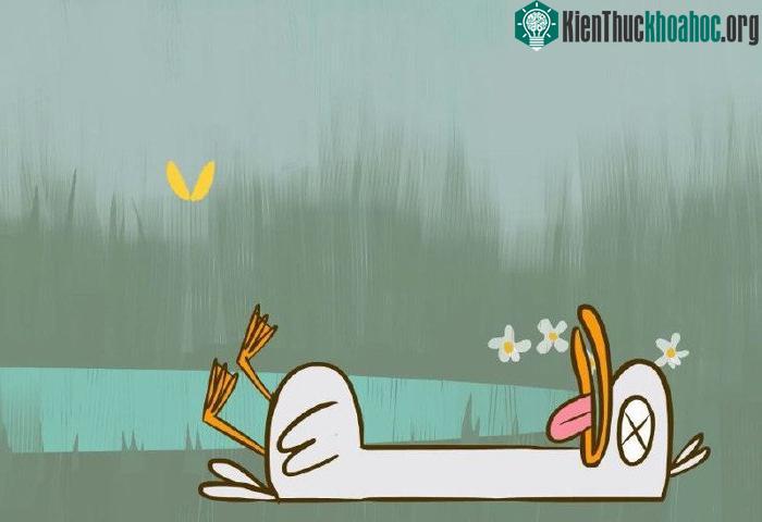 Khi con người cũng như các động vật khác chết đi, các tế bào sẽ dừng hoạt động, cơ thể dần tự phân hủy và không thể hồi sinh trở lại.