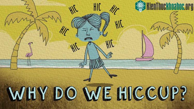 Nấc cụt là những đợt co thắt đột ngột không tự chủ của cơ hoành và được lặp đi lặp lại.