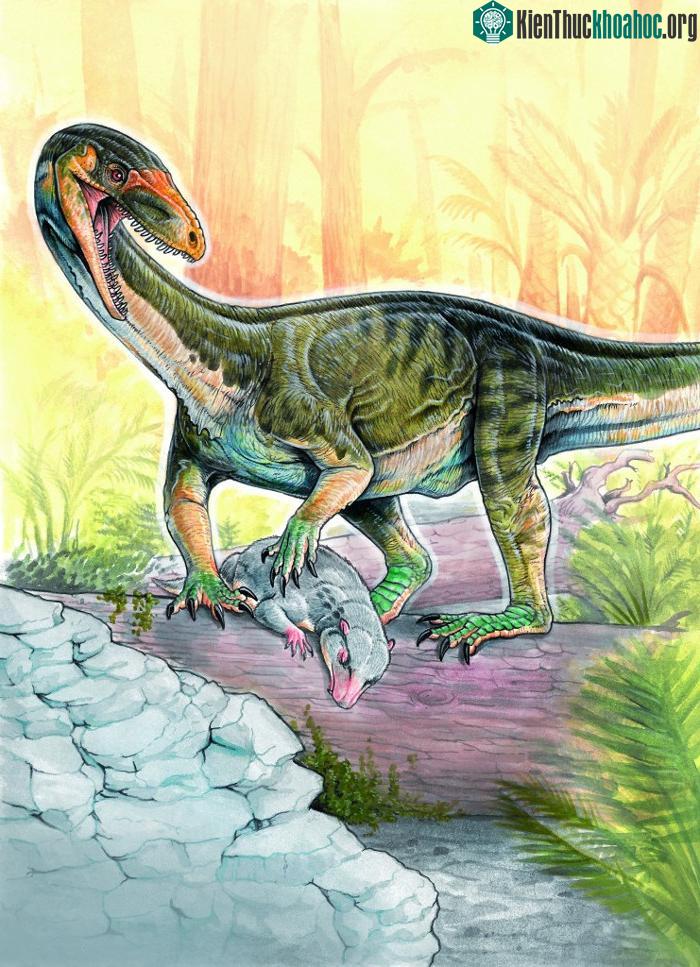 Loài Teleocrater rhadinus dài 2 - 3 mét và nặng 9 - 30kg. (Ảnh: Museo Argentino de Ciencias Naturales).