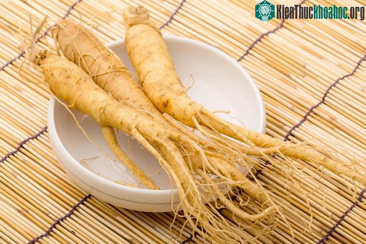 Nhân sâm được phong danh là thần dược, đứng đầu trong các vị thuốc đông y: sâm, nhung, quế, phụ. (Ảnh: Fiftyshadesofsnail).