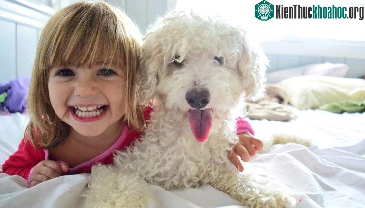 Sự hiện diện của những loài thú có lông trong nhà đem lại tác động rất tốt đối với hệ vi sinh đường ruột của trẻ.
