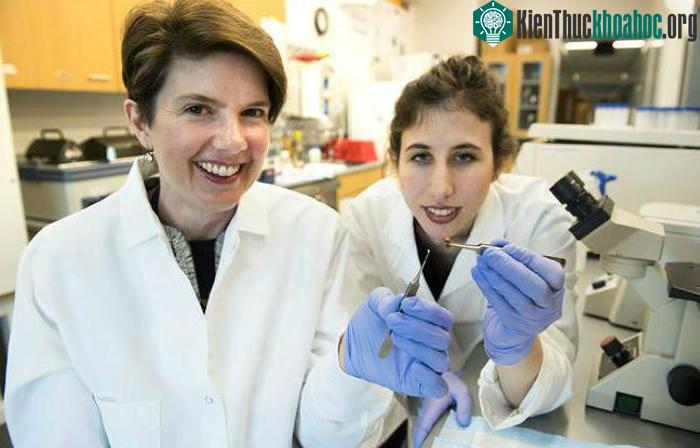 Giáo sư Brenda Ogle và cộng sự. (Ảnh: Sciencedaily).