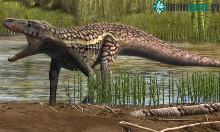 Loài bò sát mới Prorotodactylus mesaxonichnus.