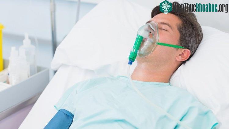 Những bệnh nhân tham gia vào dự án này phải được chứng nhận là đã chết não.