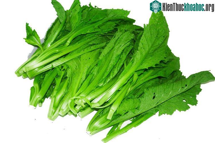 Bạn nên chú ý khi chọn rau cải.