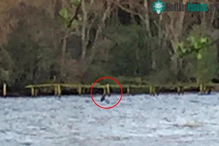 Hình ảnh mới nhất về quái vật hồ Loch Ness. (Ảnh: The Sun).