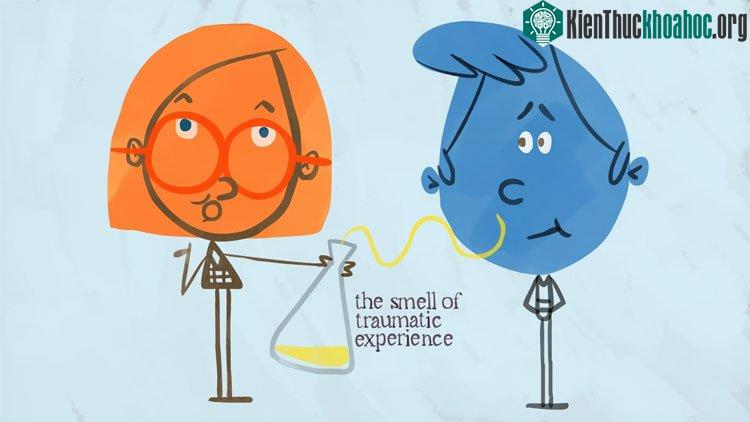 Mũi là giác quan đầu tiên bạn sử dụng khi vừa chào đời.