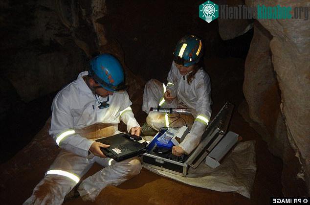 Nhóm nghiên cứu tìm thấy hóa thạch 335.000 tuổi của Homo naledi. (Ảnh: New Scientist).